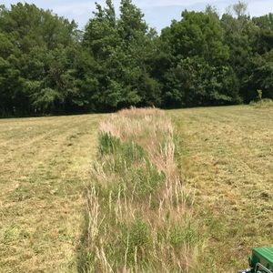 Meet your Posher, Landon